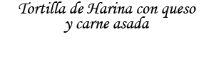 Tortilla de Harina con queso y carne asada